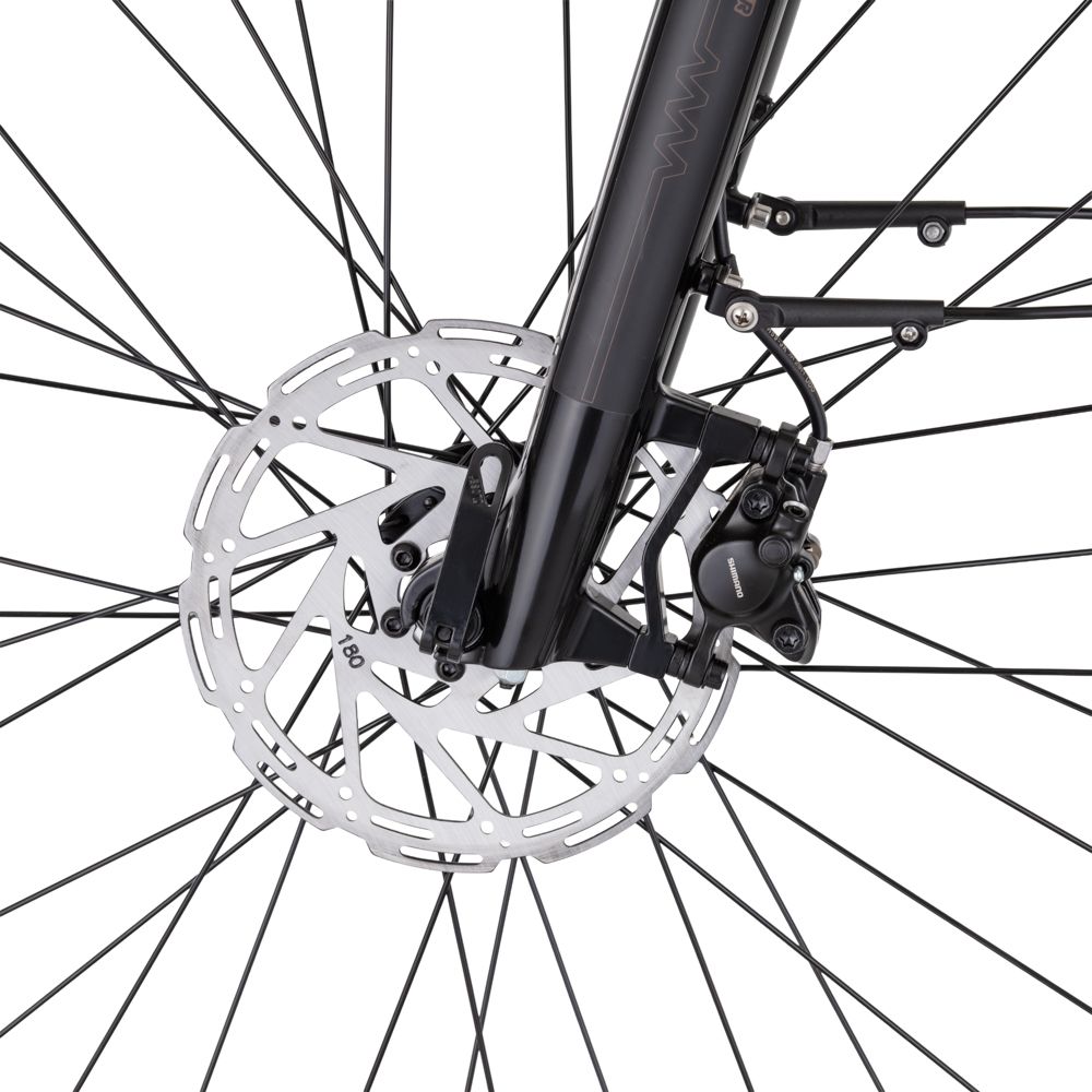 inSPORTline Urban E-Bike ISL Eclion 648 Wh fargevalg 16