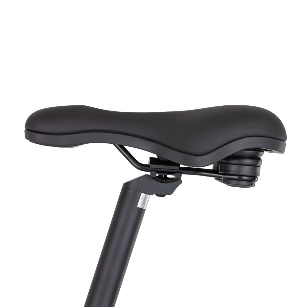 inSPORTline Urban E-Bike ISL Eclion 648 Wh fargevalg 16
