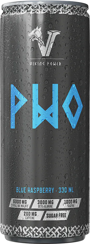 Viking Power PWO Energy Drink - 24 x 330 ml