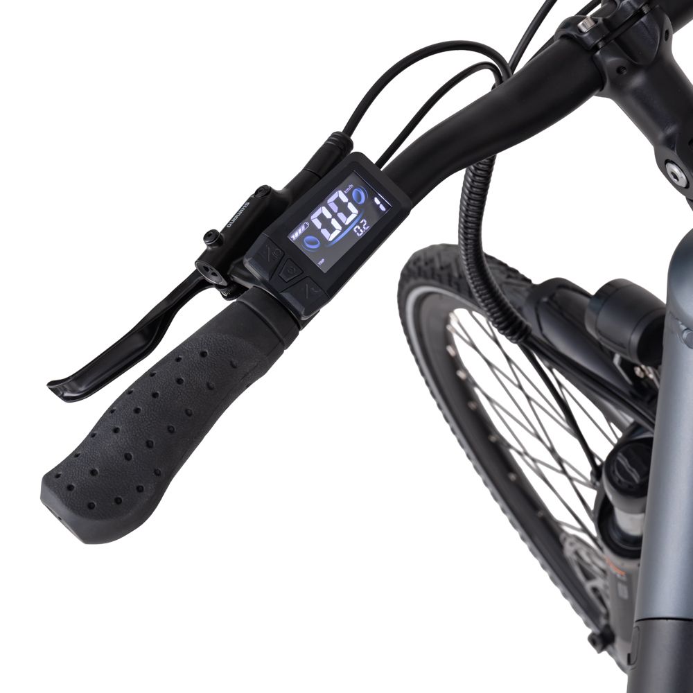 inSPORTline Urban E-Bike ISL Eclion 648 Wh fargevalg 16